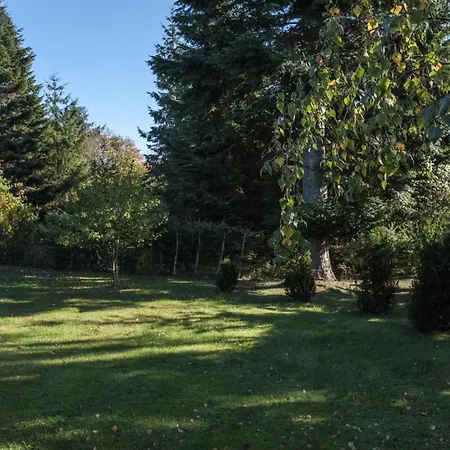 In With 3 Bedrooms, Sauna And Wifi Holiday home